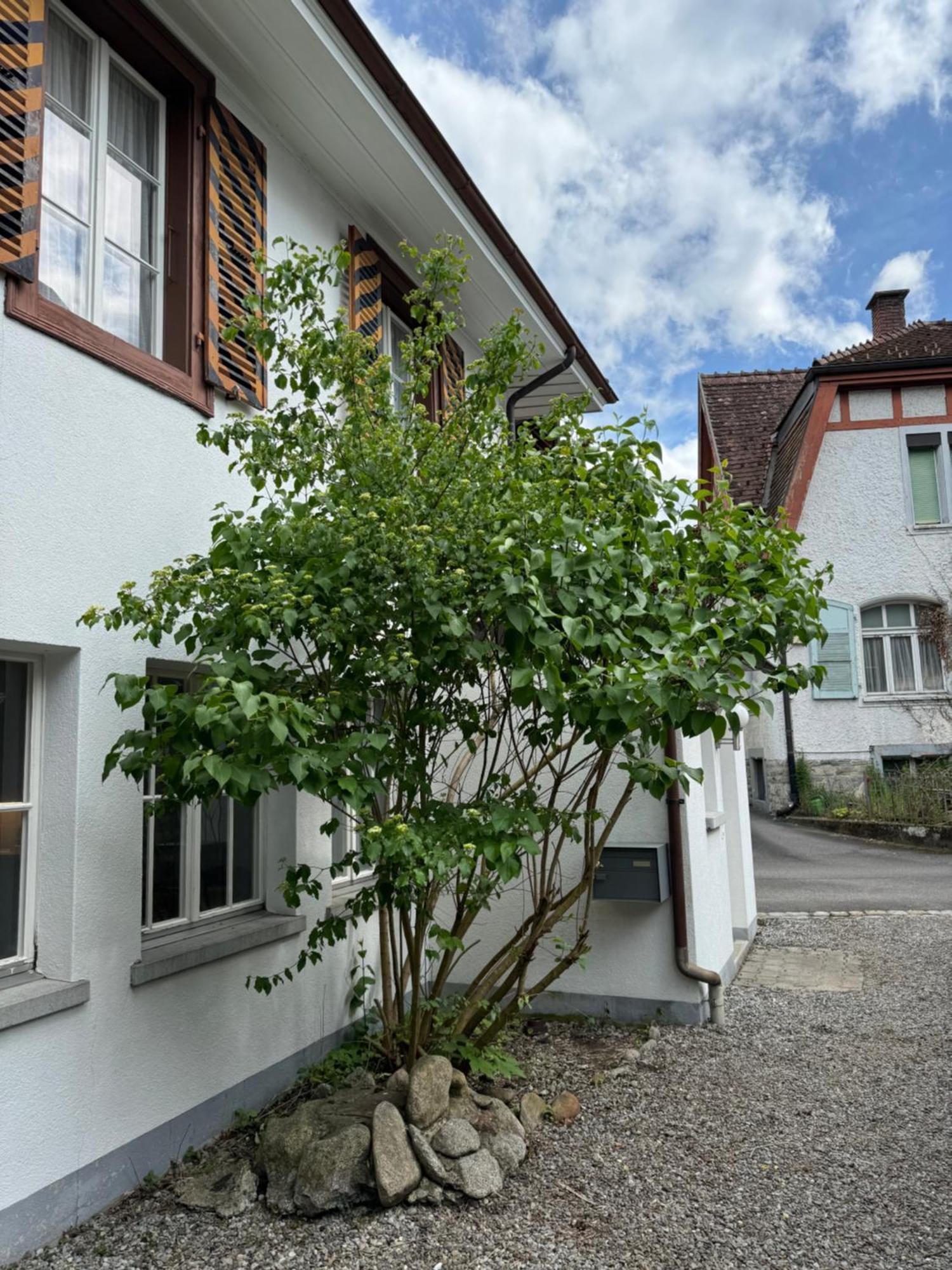 Garden House Interlaken Exterior foto
